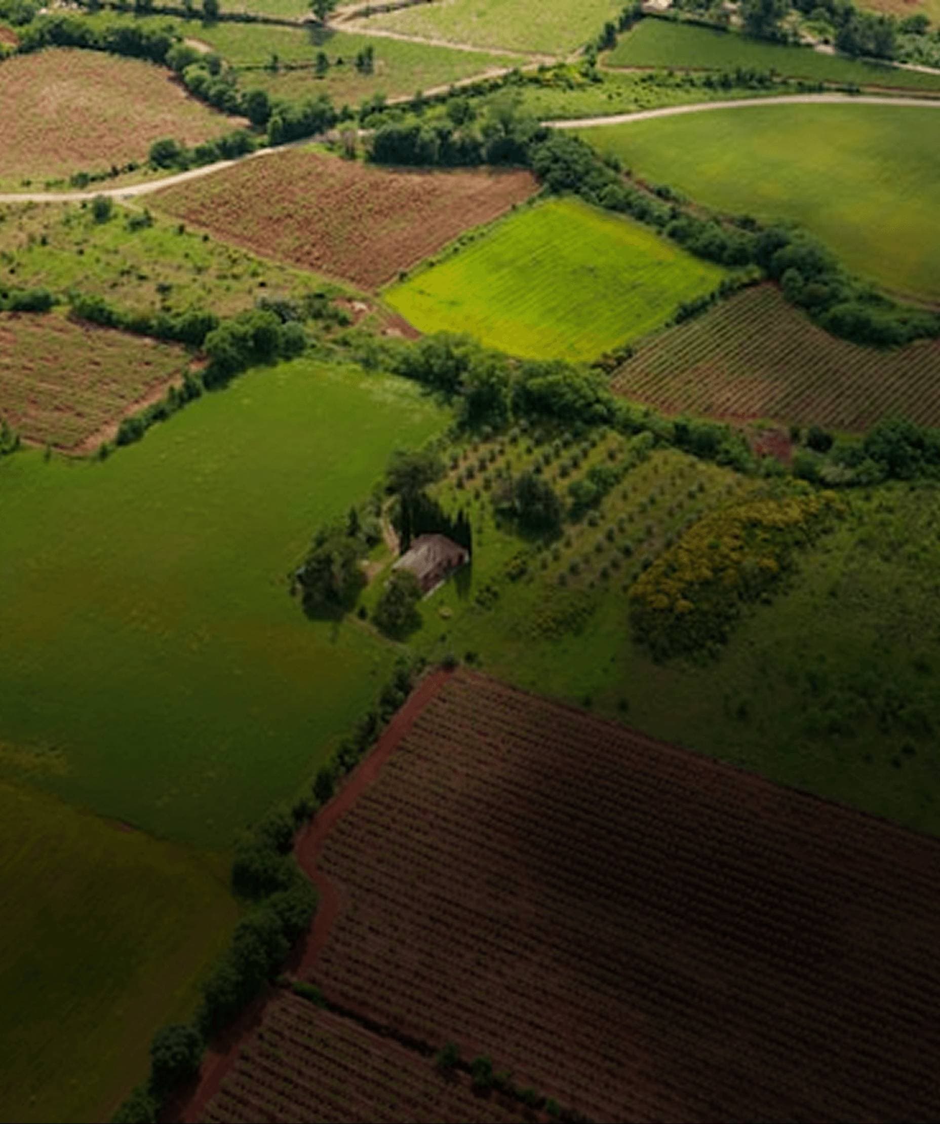 Brego Land