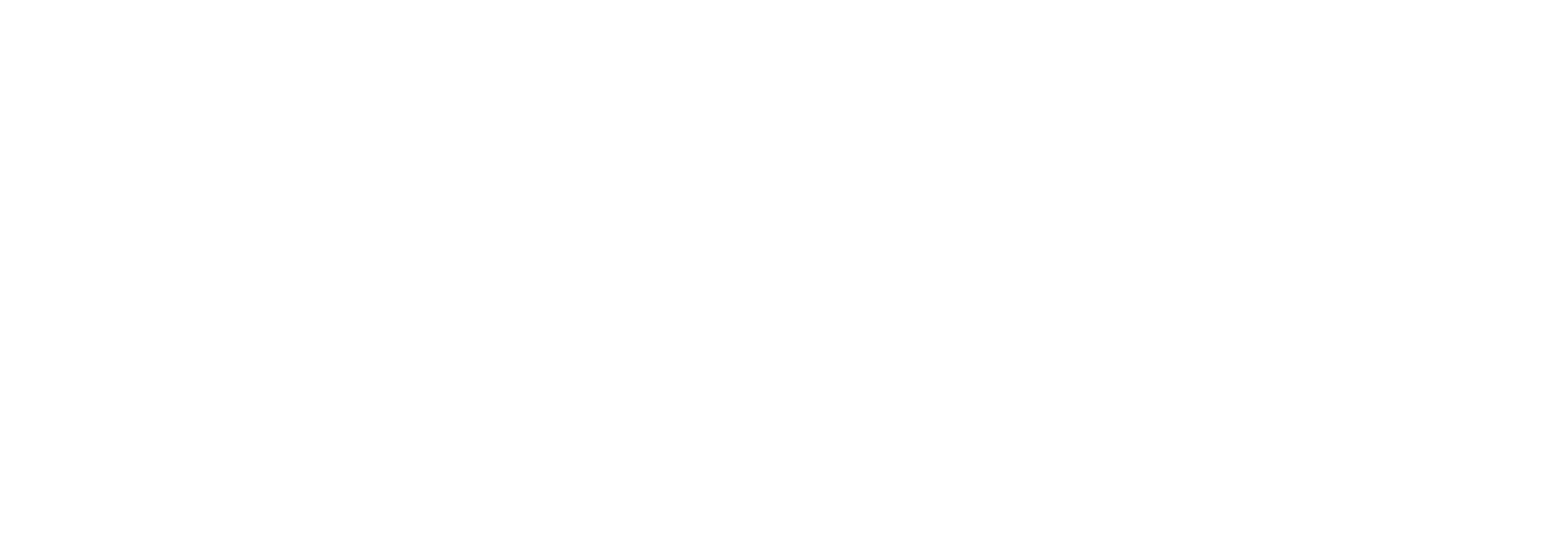 Google Partner